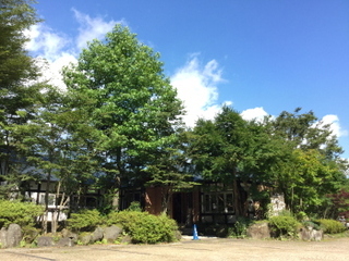 image2.jpg